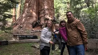 2020 Июнь. Sequoia & Kings Canyon National ParkЧасть 1. Румтур по гостиничному номеру