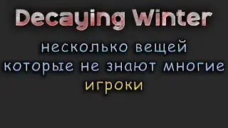 Decaying Winter что не надо делать в команде