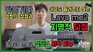 Lava me2 장단점 리뷰 [식물원TV] 카본 기타 단점