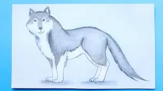 WOLF DRAWING 🐺