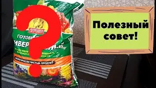 Идеальный грунт для крепкой и дружной рассады! Лучший грунт для посева семян в 2022 году