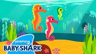 Hey-ho-hey, Seahorse | Sea Animals Song | Baby Shark and Sea Animals | Baby Shark Official