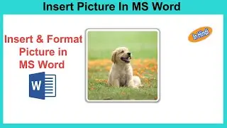 How to Insert Picture In MS Word | MS Word Tutorial In Hindi