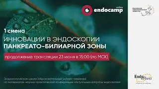 Инновации в эндоскопии панкреас-билиарной зоны. День 2