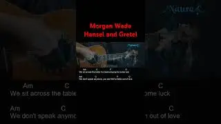 Morgan Wade - Hansel and Gretel Guitar Chords Lyrics #shorts