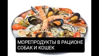 МОРЕПРОДУКТЫ В РАЦИОНЕ СОБАК И КОШЕК/ МОЖНО ЛИ СОБАКАМ КРЕВЕТКИ, МИДИИ, КАЛЬМАРЫ?