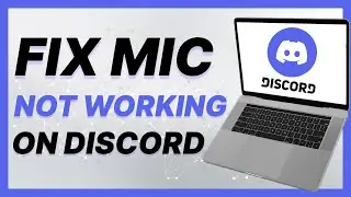 How To Fix Mic Not Working On Discord (2024)