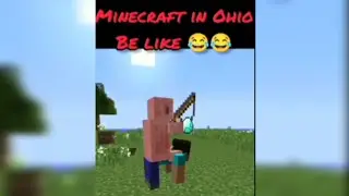 Minecraft in Ohio be like 😂😂 #minecraft #viralvideo #trending credits to @NotSafe