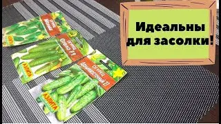 ТОП-3 самых хрустящих и вкусных сортов огурчиков! Обзор семян огурцов на 2022 год