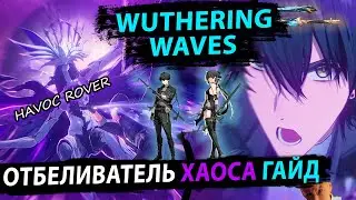 Гайд на ГГ Хаоса. Отбеливатель Хаоса. Wuthering Waves