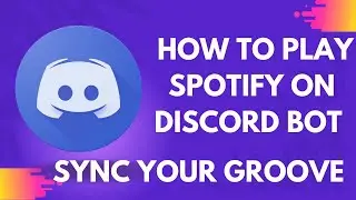 Sync Your Groove: How to Play Spotify on Discord Bot