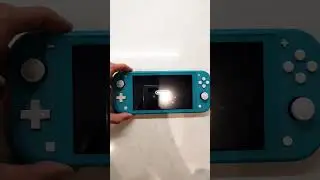 How to turn on a Nintendo Switch Lite Console