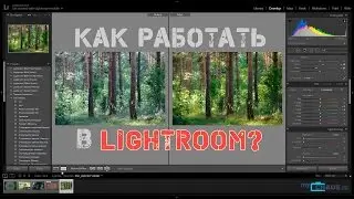 Как работать в Lightroom? Основы и примеры обработки фотографий