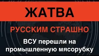 Минус 1000 в день: Потери армии РФ рекордно выросли. Что это значит?