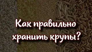 Как правильно хранить крупы, чтобы в них не завелись вредители?