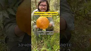 СКОЛЬКО ГРИБОВ Я СОБРАЛ 🍄#итальянец #итальянецвроссии #шортс #россия #грибы #белыегрибы