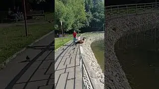 Алиса Теплякова. Очередная утка.