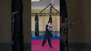 Upercut - Cross Knockout #martialarts #combatsport #taekwondo #mma #trending #shorts #short #mrbest