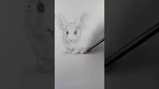 Draw a rabbit 🐇 Easy drawing lesson for beginners on how to draw a rabbit. #drawinglesson