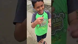 Fais sama risa lagi asik bermain