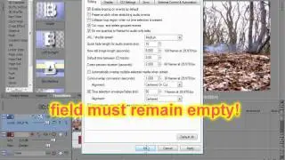 Sony Vegas Pro 9 - tutorial slow motion effect tips