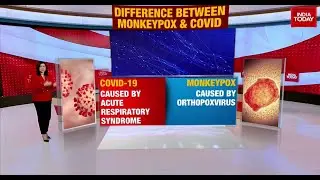 What Is The Difference Between Monkeypox & COVID-19? Explained