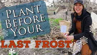 What, How & Why to Plant Before Your Last Spring Frost