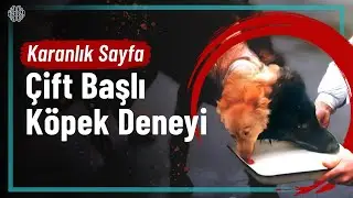 Demikhov'un Çift Başlı Köpek Deneyi