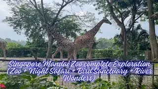 Unveiling the Hidden Treasures of Singapore's Mandai Zoo! 🦓🌿 | Ultimate Zoo Exploration Adventure!