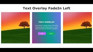 How to Create Image Overlay FadeIn Left Text effect and Responsive using only HTML and CSS.