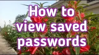 How to know your forget passwords | Password Managear | Hindi tutorials - By Manish Kaushal | MKTC