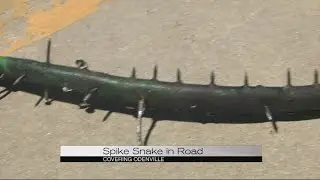 St. Clair drivers discover makeshift spike strip on road