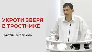 Дмитрий Лебединский. Укроти зверя в тростнике