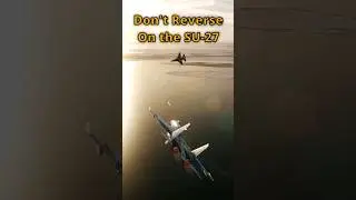 SU-27 Insane Accuracy! F-16 Shouldn't have Reversed 