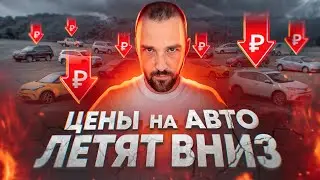 Такого на авторынке еще не было: Что происходит с ценами. Изменение на ОСАГО. QR-код вместо прав