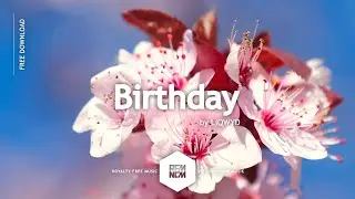 Background Music Happy No Copyright [Birthday - LiQWYD] Vlog Music Royalty Free Download Chill