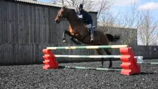 Emma Jumping Forrest