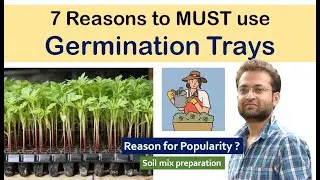 Why you should use germination trays? Benefits of using germination tray? Increase germination.