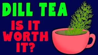 10 Amazing DILL TEA Benefits