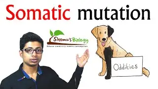 Somatic mutation