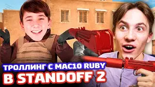 РЕАКЦИЯ НА MAC10 RUBY SHADOW В Standoff 2 - ТРОЛЛИНГ!