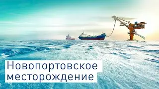 «Новый Порт» — лучший проект в нефтегазовой отрасли по оценке международных экспертов