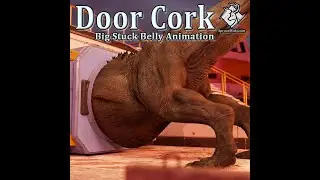 Door Cork