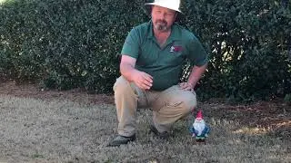 Prepping Warm-Season Grass