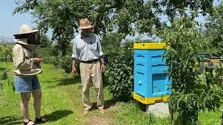 У гостях на пасіці Ярослава Мухи. Переваги пінополістирольних вуликів Lyson та BeeHome