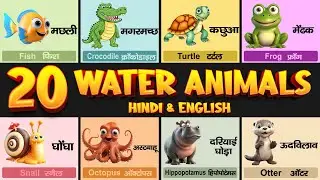 20 Water Animals Name in Hindi and English | पानी में रहने वाले जीवों के नाम | Water Animals