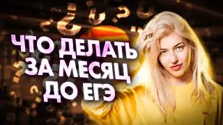 Без этого ты не сдашь ЕГЭ! Лайфхаки для ЕГЭ по русскому языку | Русский с Верой ЕГЭ Flex