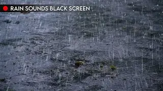 Sleep Fast in 5 Minutes with Rain Sounds Black Screen, Rain on Road for Insomnia & Study