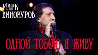 ОДНОЙ ТОБОЮ Я ЖИВУ / Разбор на гармони с цифрами