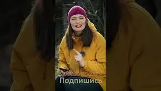 Огород XXI века Сделай ЛЮБУЮ почву как ХЛЕБ Дачный агроном